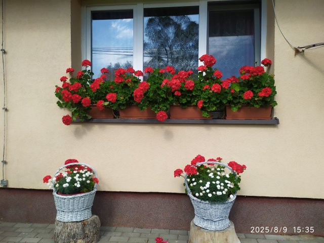 Dom i okolice